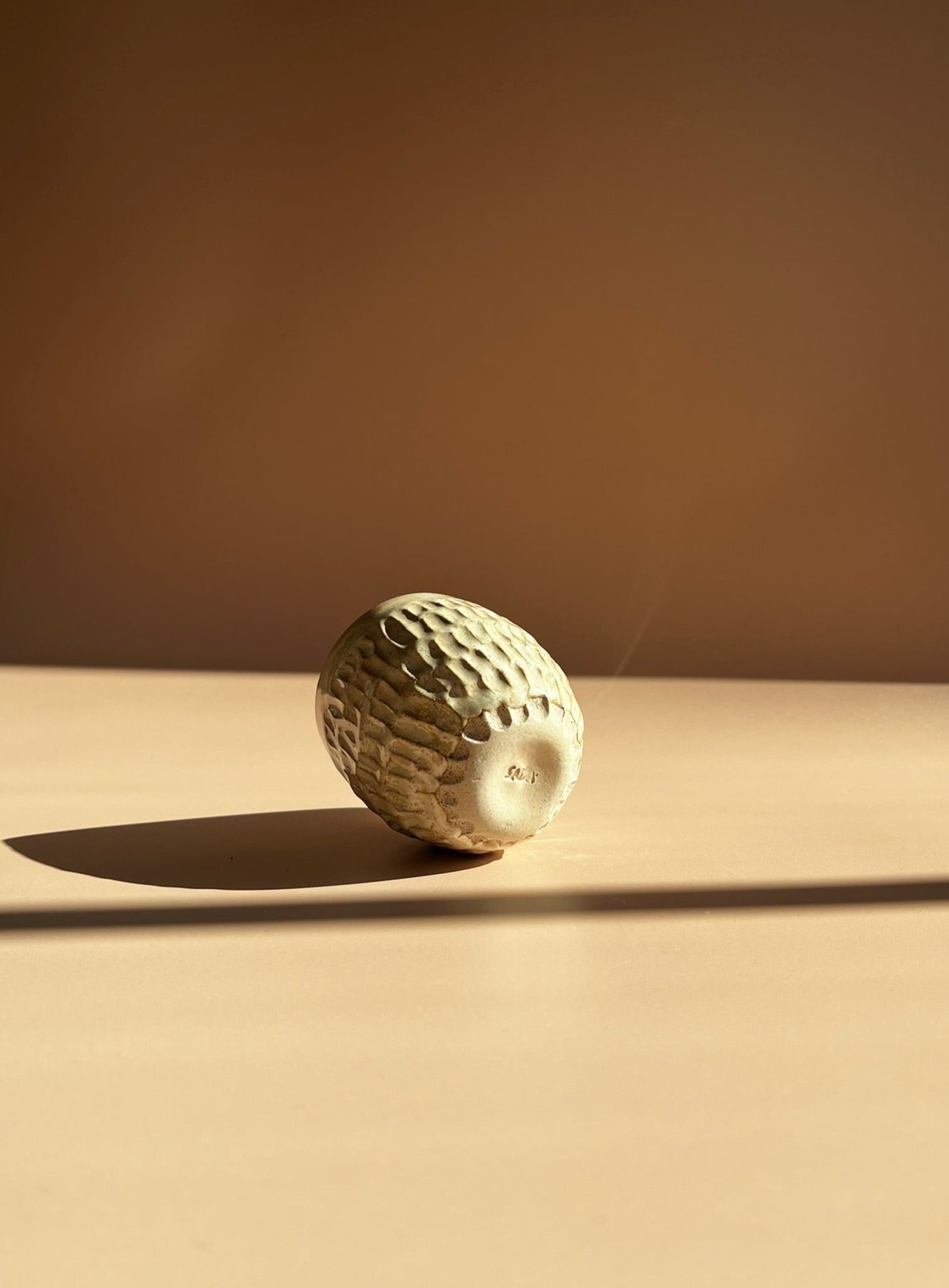 Terra . Luna Mug