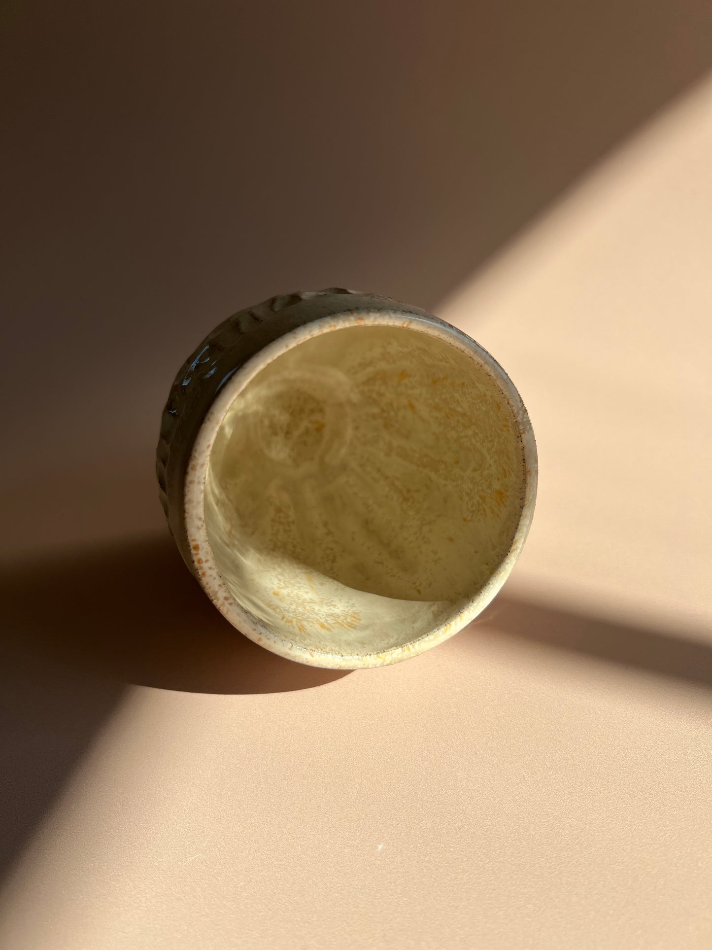 Terra . Luna Mug