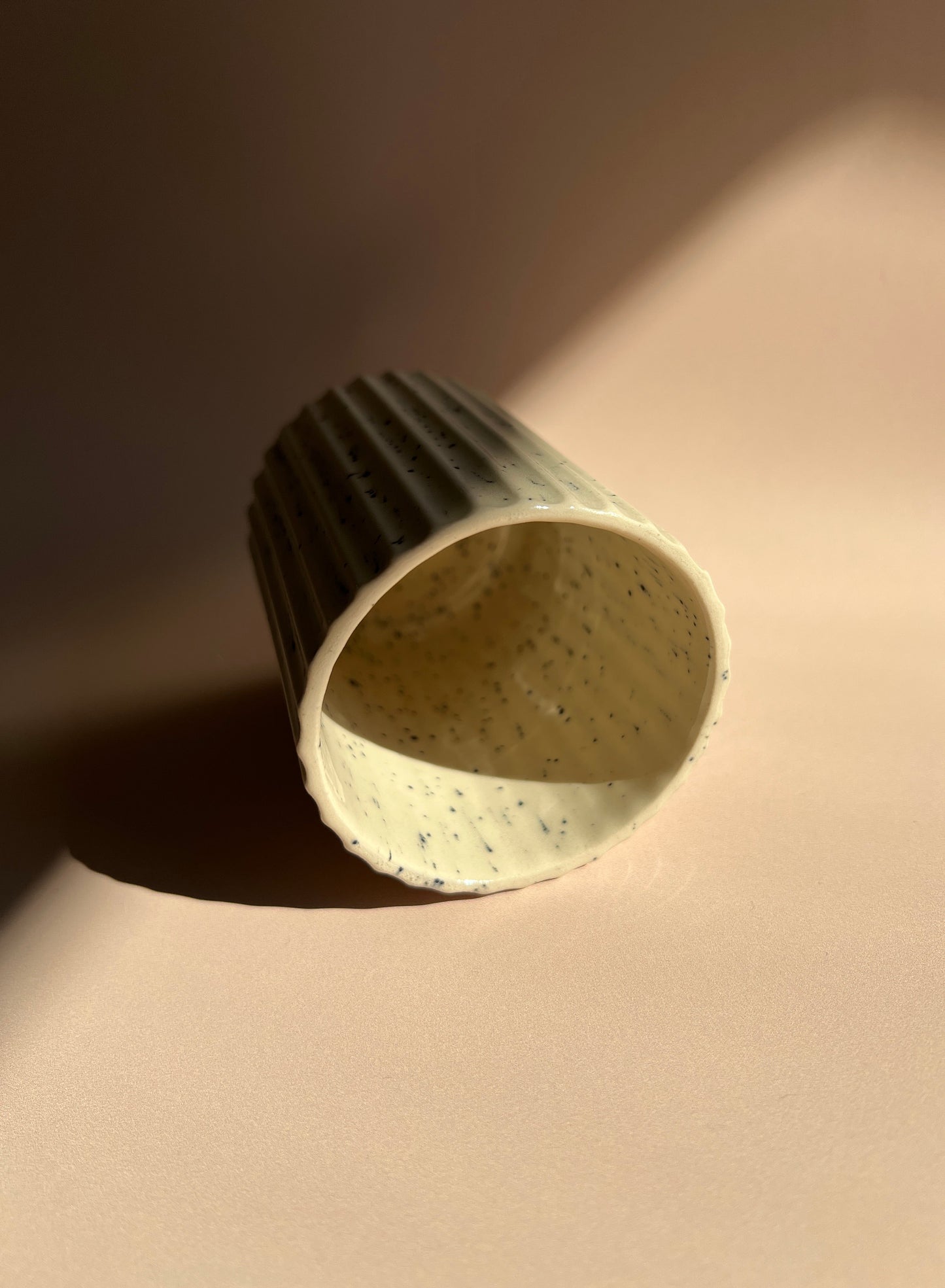 Sandstone Speckled . Stria Mug