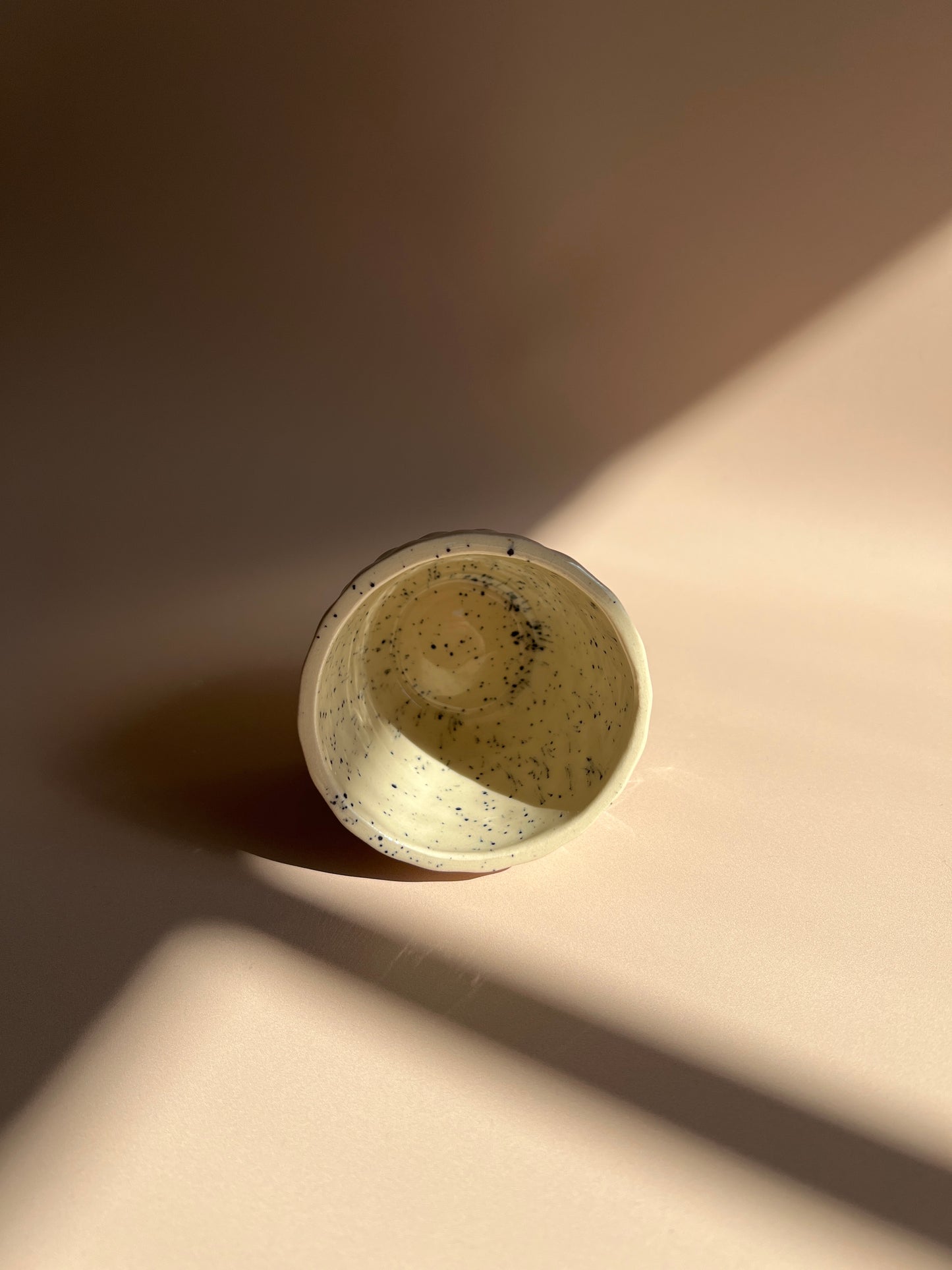 Sandstone Speckled . Ripple Mug