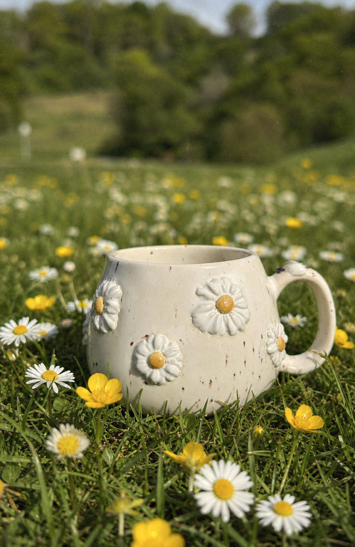 Daisy . Pebble Mug