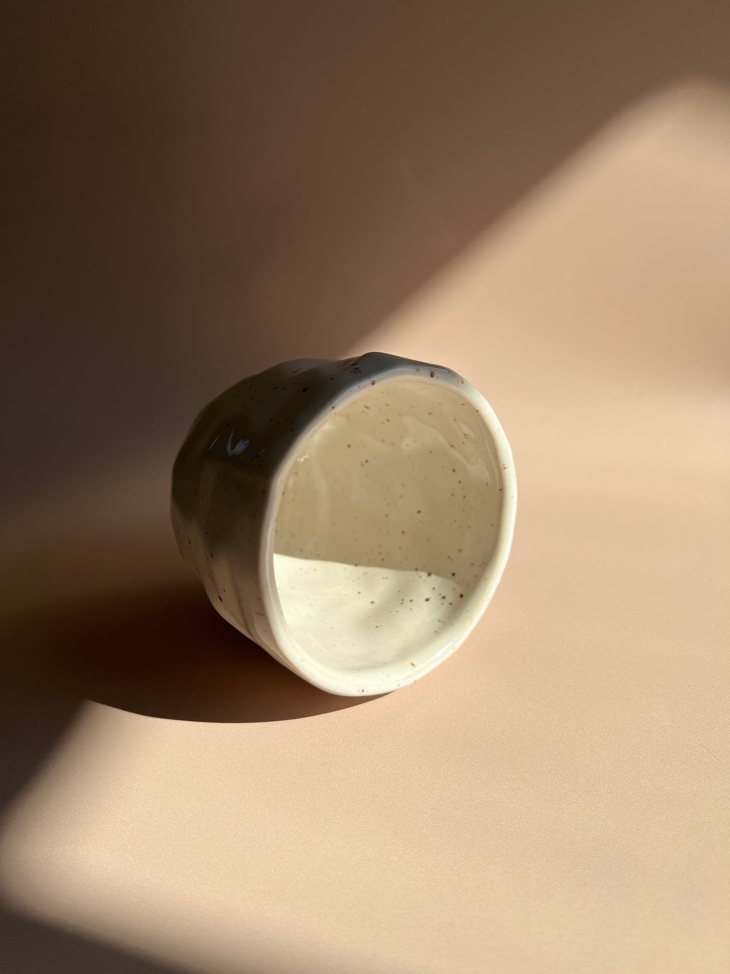 Sandstone Brown Speckled . Stone Mug