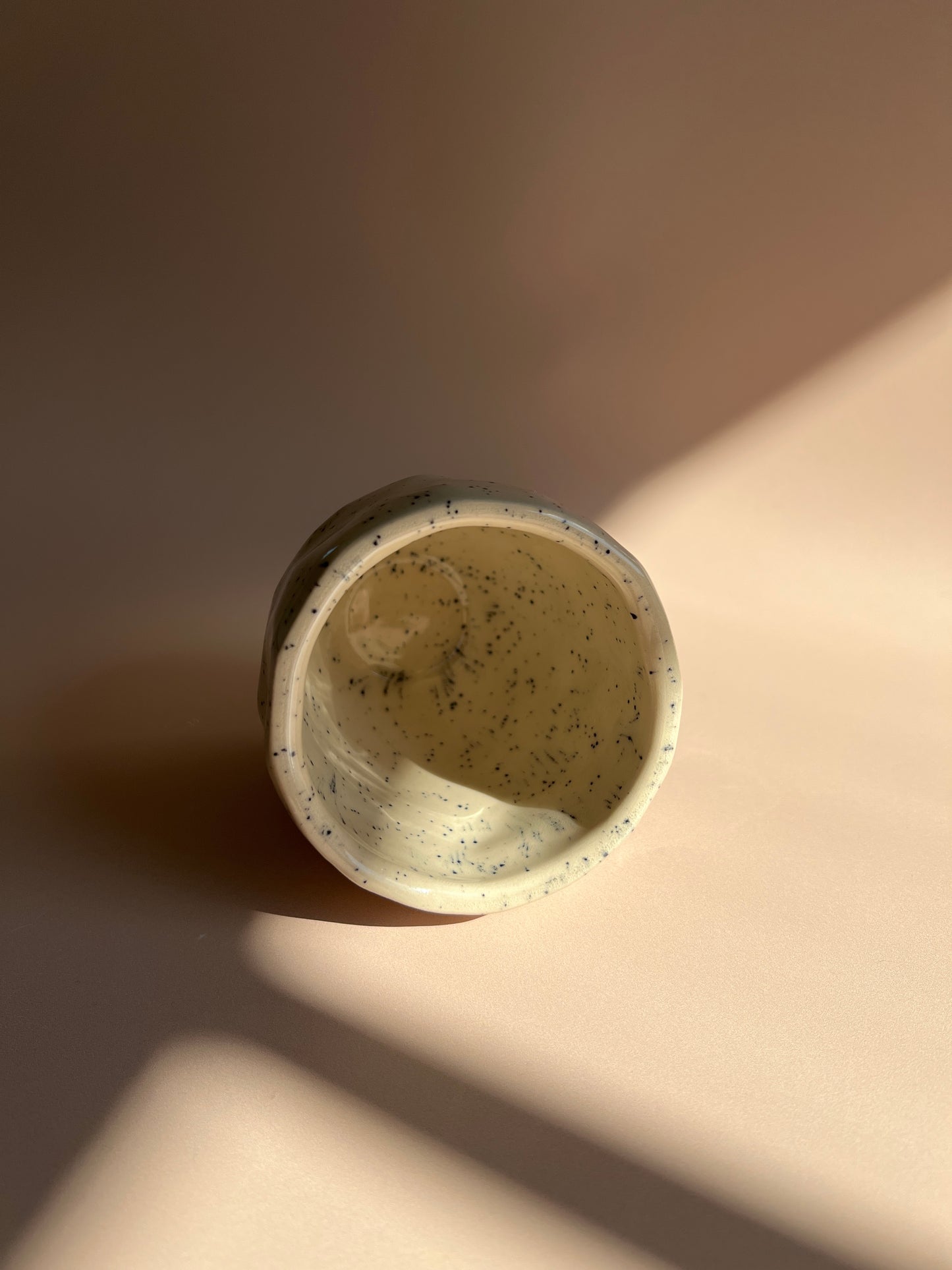 Sandstone Speckled . Stone Mug